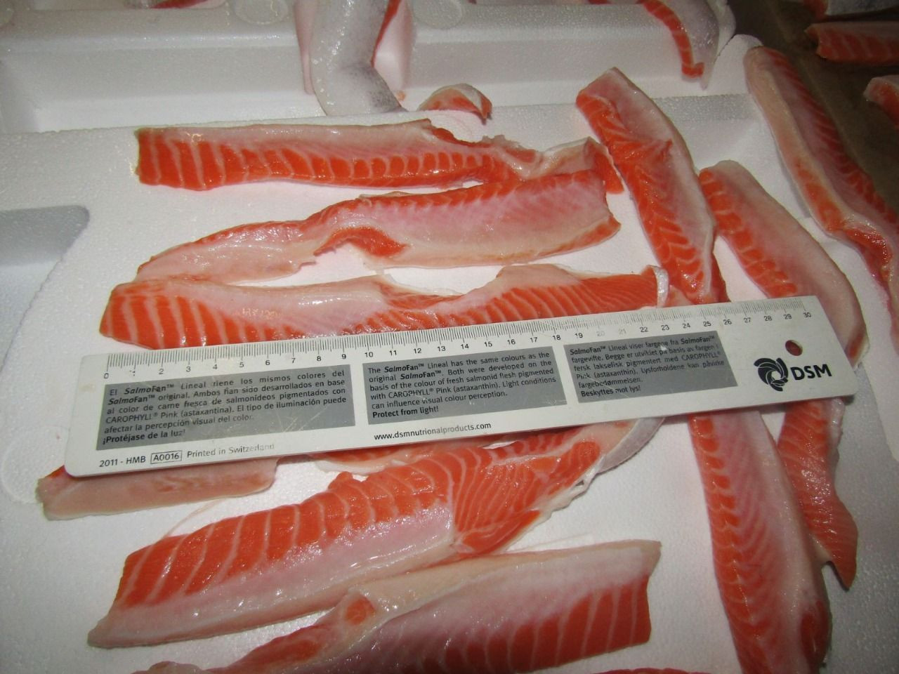 【送料&関税込】ChloAC Salmon Crepe Top crepe.jpg
