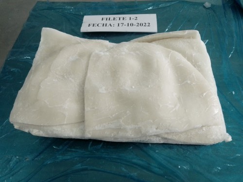 Giant Squid Fillets